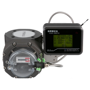 WRD Gas Roots Flow Meter with Mechanical Counter And Electronic Volume Corrector