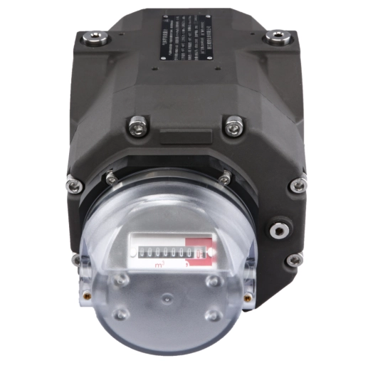 WRM Gas Roots Flow Meter with Mechanical Counter