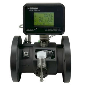WTE Gas Turbine Flow Meter with Gas Volume Corrector